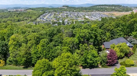 354 Steeplechase Drive Penn Laird VA 22846