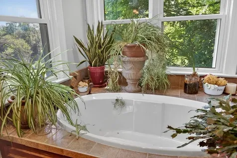 1586 Mossy Creek Road Bridgewater VA 22812