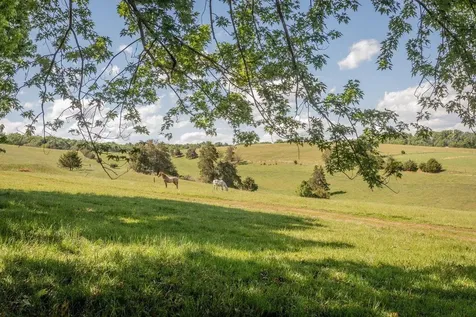1586 Mossy Creek Road Bridgewater VA 22812