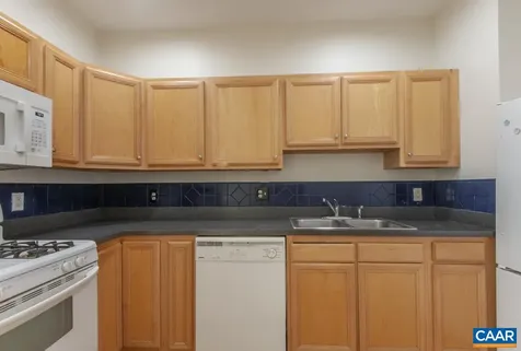 1103 Druid Avenue Charlottesville VA 22902