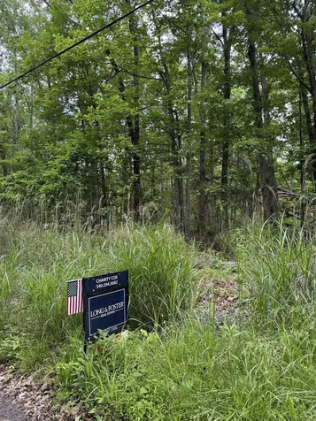 Lot 51 Lake Drive Crimora VA 24431