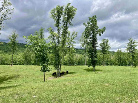 594 Estaline Valley Road Craigsville VA 24430