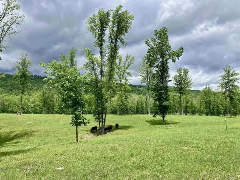 594 Estaline Valley Road Craigsville VA 24430