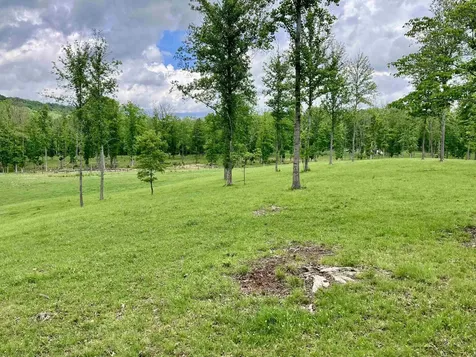 594 Estaline Valley Road Craigsville VA 24430