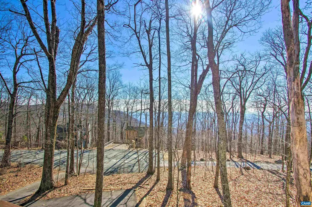 138 Oak Lane Wintergreen Resort VA 22967