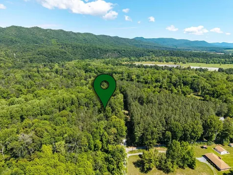 971 Shipyard Road Shenandoah VA 22849