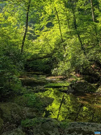 2200 Rocky Run Charlottesville VA 22901