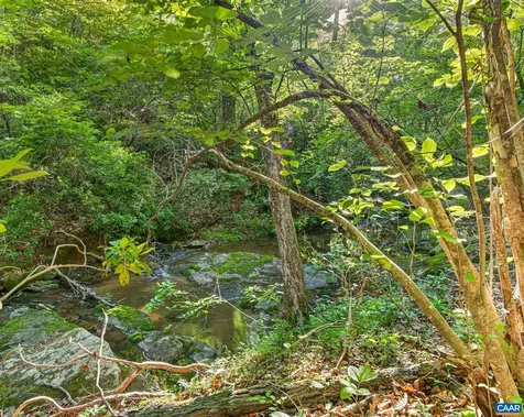 2200 Rocky Run Charlottesville VA 22901