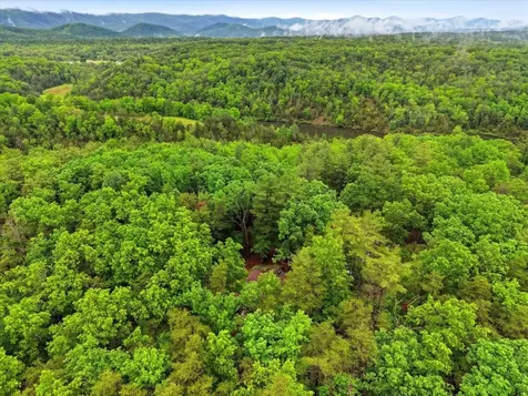 323 Palmer Road Basye VA 22810
