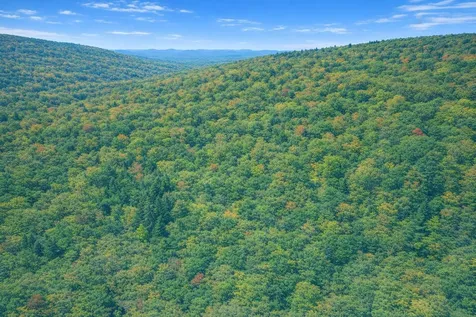 Lot 168 Forest Ridge Trail Fort Valley VA 22652