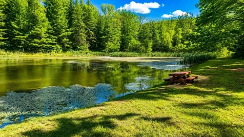 Lot 168 Forest Ridge Trail Fort Valley VA 22652