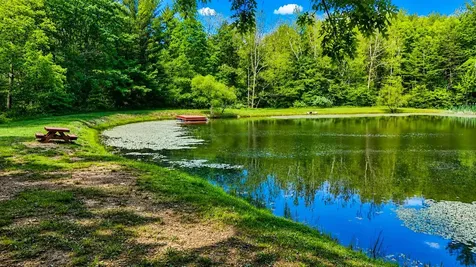 Lot 168 Forest Ridge Trail Fort Valley VA 22652