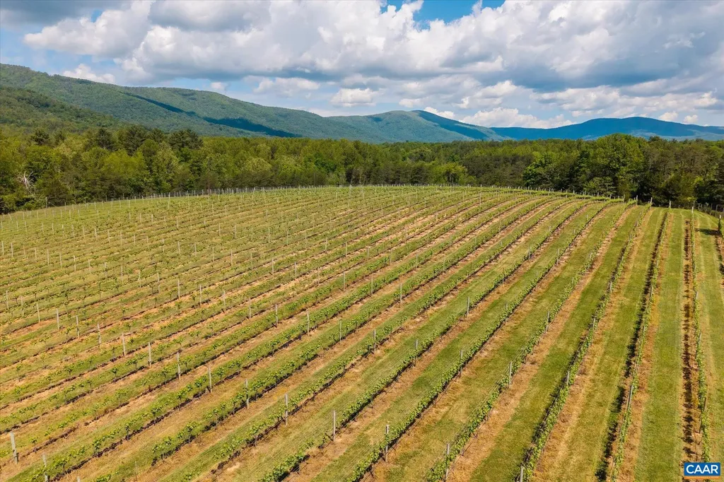 5150 Break Heart Road Crozet VA 22932