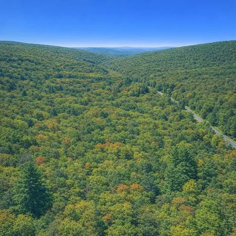 Lot 170 Forest Ridge Trail Fort Valley VA 22652