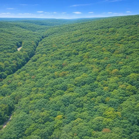 Lot 170 Forest Ridge Trail Fort Valley VA 22652