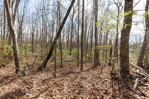 Lot 50 Lake Drive Crimora VA 24431