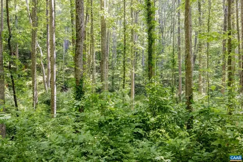 Tbd Poorhouse Road Charlottesville VA 22903