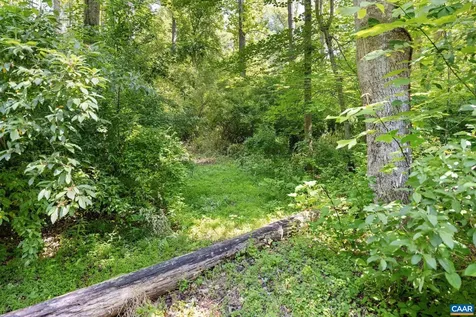 Tbd Poorhouse Road Charlottesville VA 22903