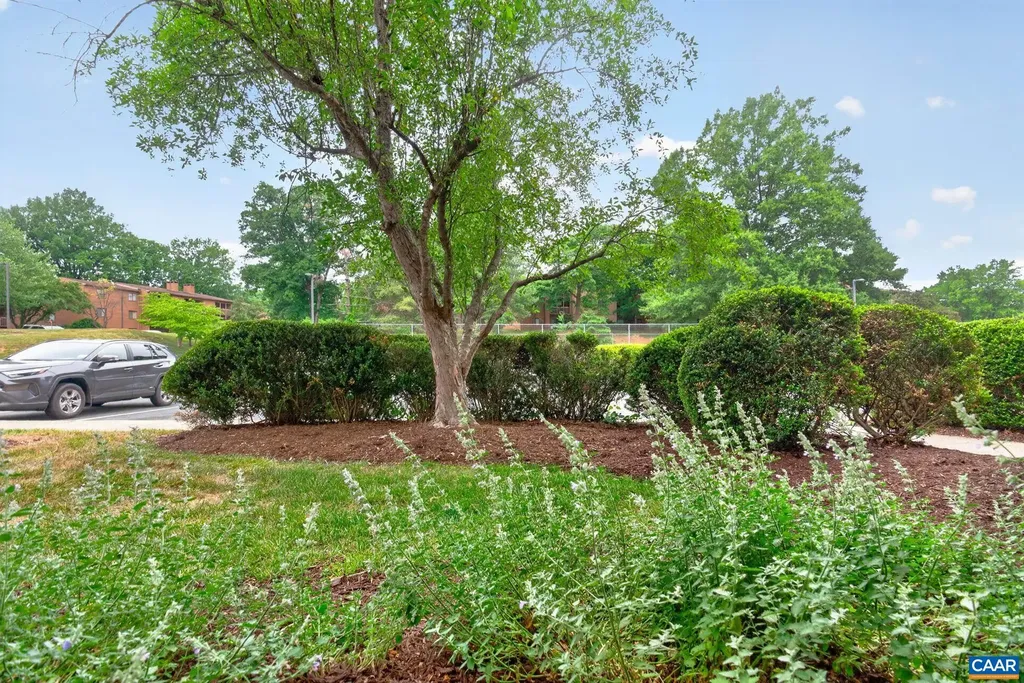 114 Turtle Creek Road Charlottesville VA 22901