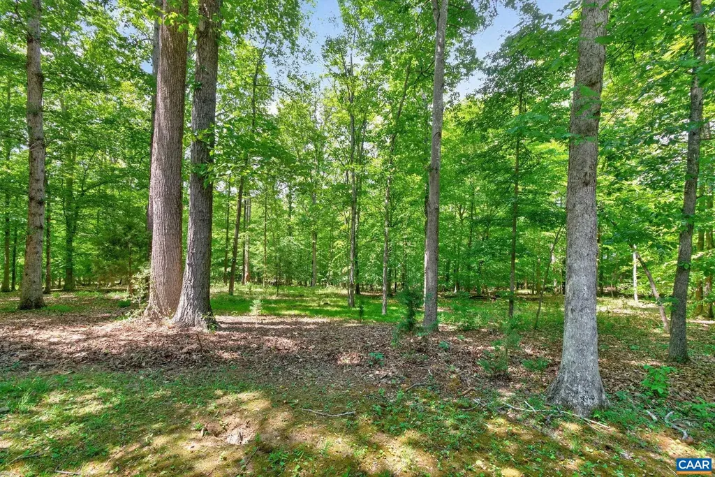 3288 Wooded Acres Lane Charlottesville VA 22911
