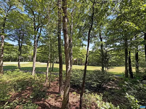 27 Fox Sparrow Lane Wintergreen Resort VA 22967
