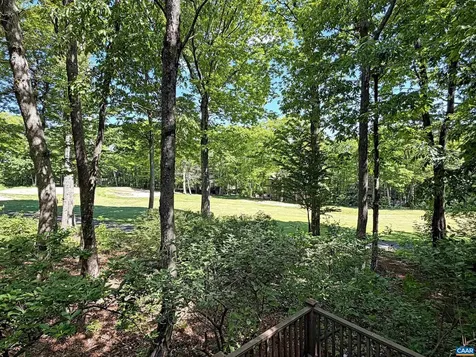 27 Fox Sparrow Lane Wintergreen Resort VA 22967