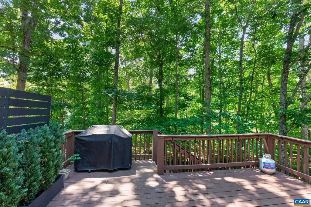 63 Turkeysag Trail Palmyra VA 22963