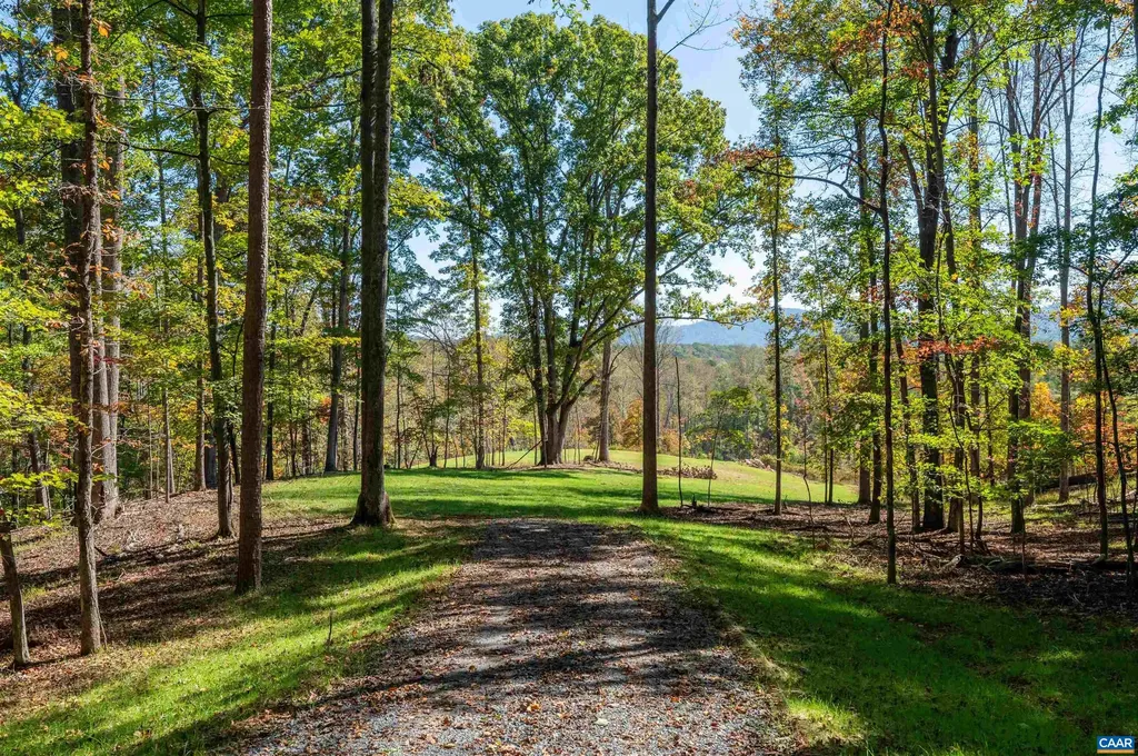 3 Dick Woods Road Charlottesville VA 22903