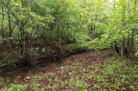 516 Estaline Valley Road Craigsville VA 24430