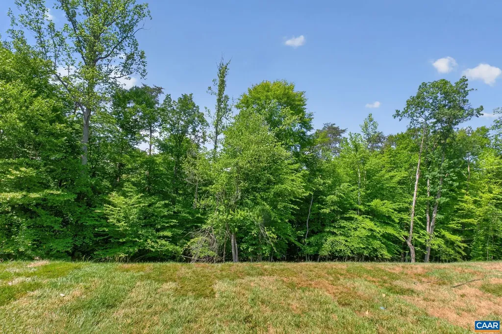 1382 Marcella Street Charlottesville VA 22911