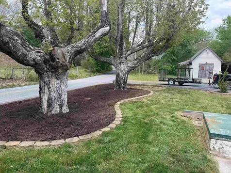64 Augusta Springs Road Craigsville VA 24430