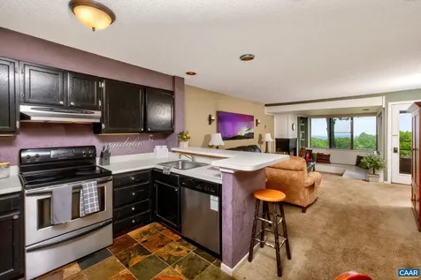 347 Dobie Condos Wintergreen Resort VA 22967
