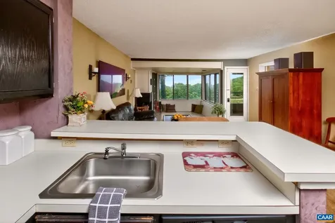 347 Dobie Condos Wintergreen Resort VA 22967