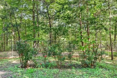 1906 Cutbank Lane Elkton VA 22827