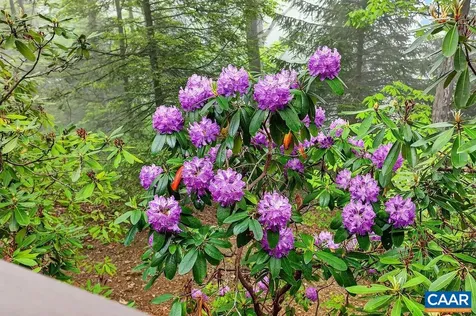 473 Three Ridges Condos Wintergreen Resort VA 22967