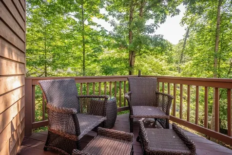 5109 Trevino Drive Mcgaheysville VA 22840