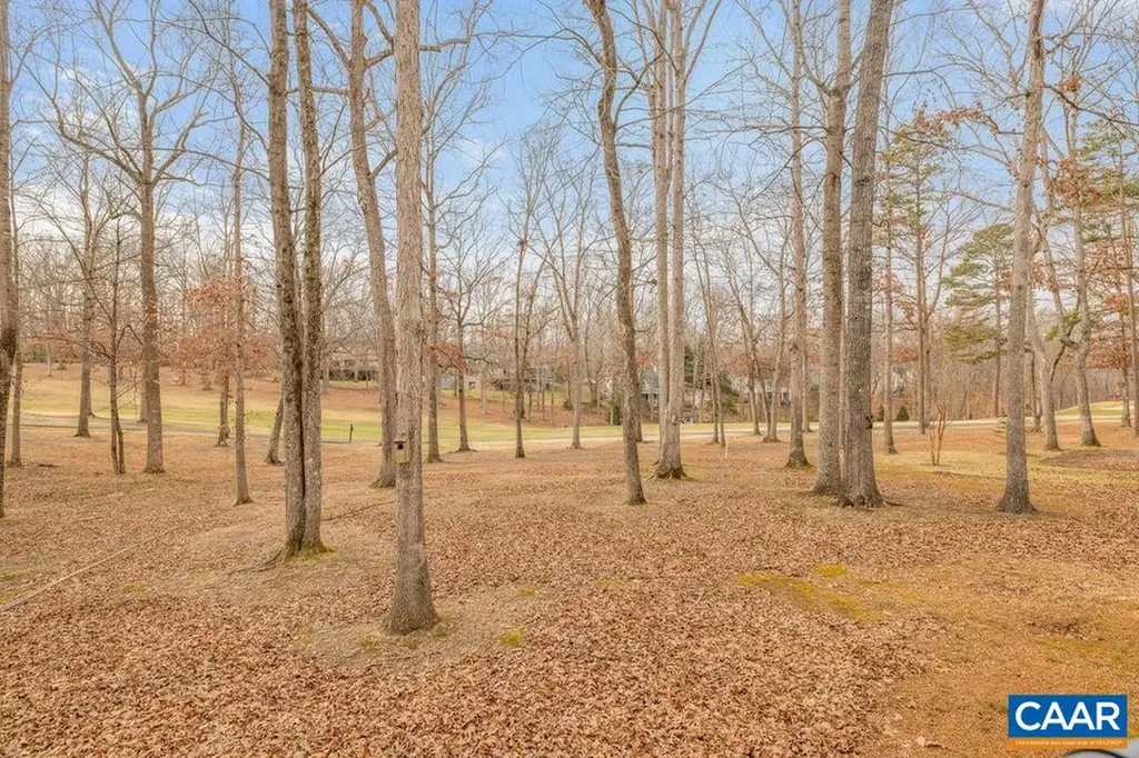28 Out Of Bounds Road Palmyra VA 22963