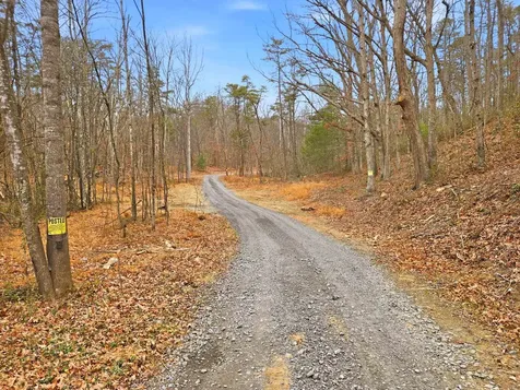 709 Stultz Gap Road Edinburg VA 22824