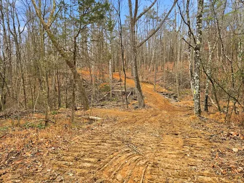 709 Stultz Gap Road Edinburg VA 22824