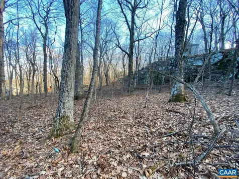 462 Deer Springs Lane Wintergreen Resort VA 22967