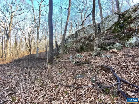 462 Deer Springs Lane Wintergreen Resort VA 22967
