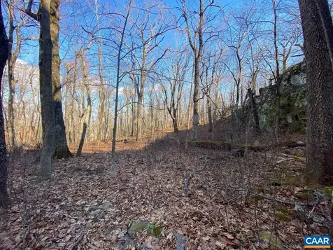 462 Deer Springs Lane Wintergreen Resort VA 22967