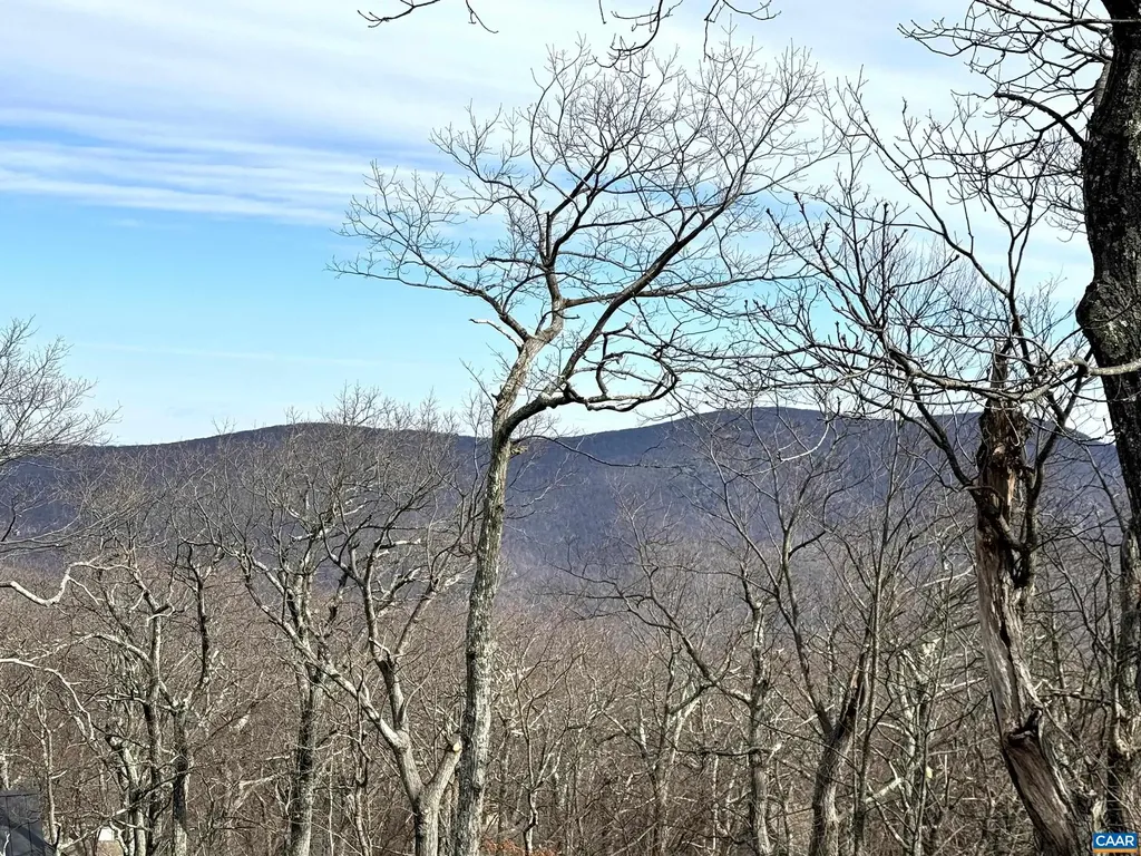82 Pedlars Edge Drive Wintergreen Resort VA 22967