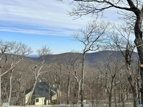 82 Pedlars Edge Drive Wintergreen Resort VA 22967