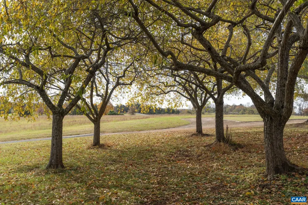 268 Springdale Drive Keswick VA 22947