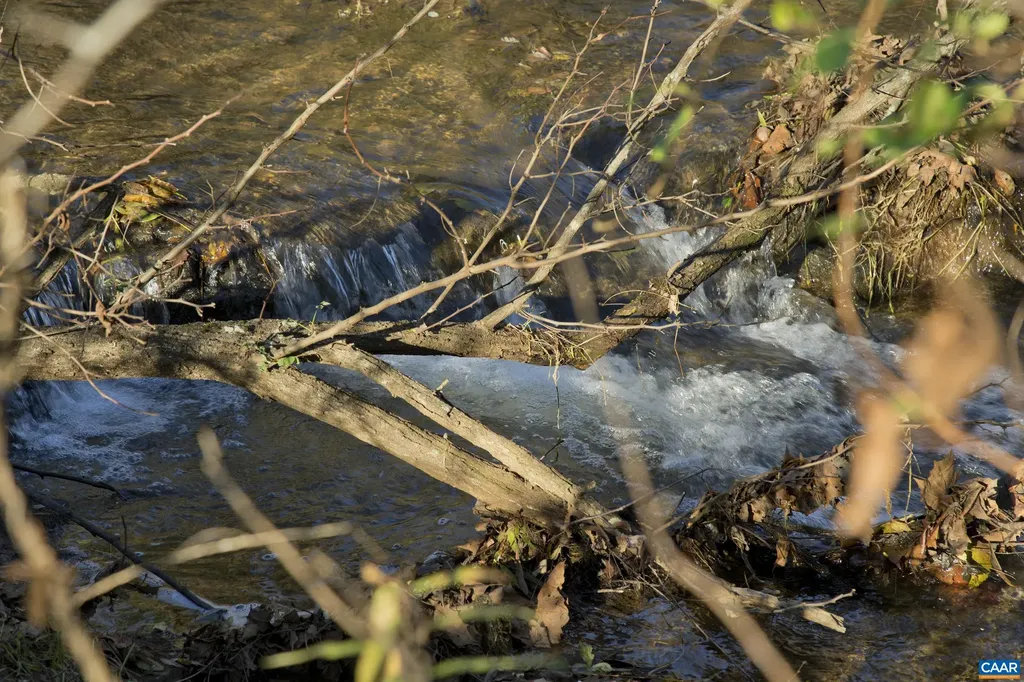 294 & 262 Freshwater Cove Lane Lovingston VA 22949