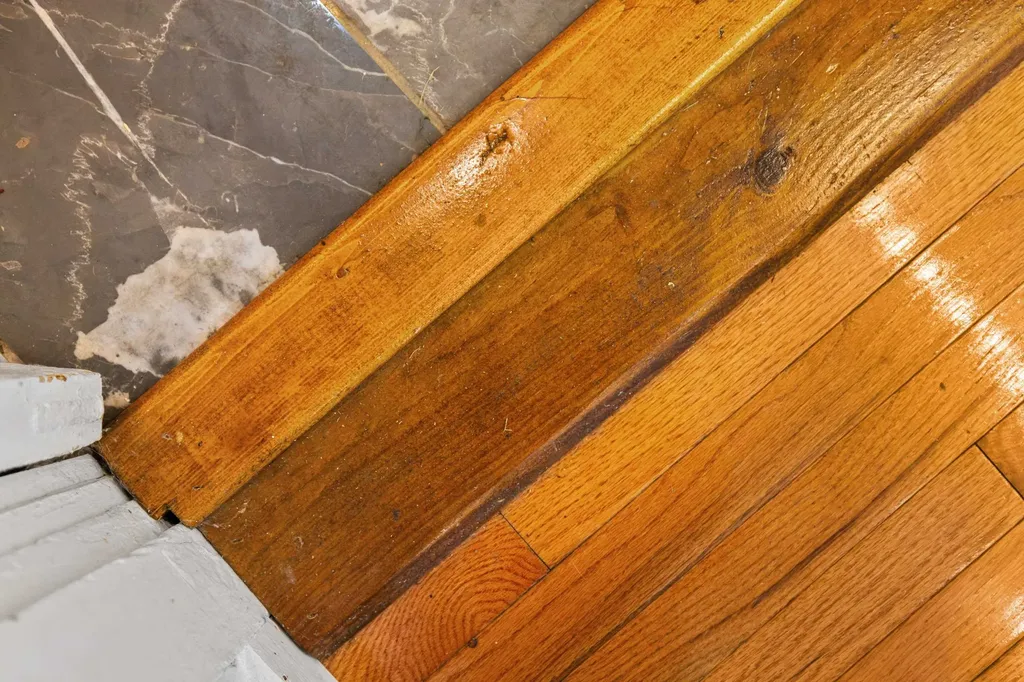 644 Early Drive Broadway VA 22815