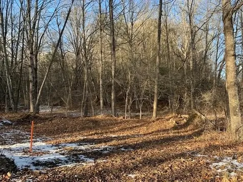 Tbd Upper Back Creek Road Monterey VA 24465