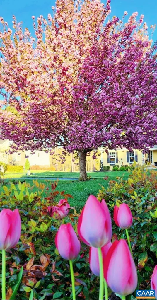 2 Forest Court Zion Crossroads VA 22942