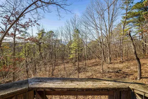 755 Wildwood Lane Shenandoah VA 22849